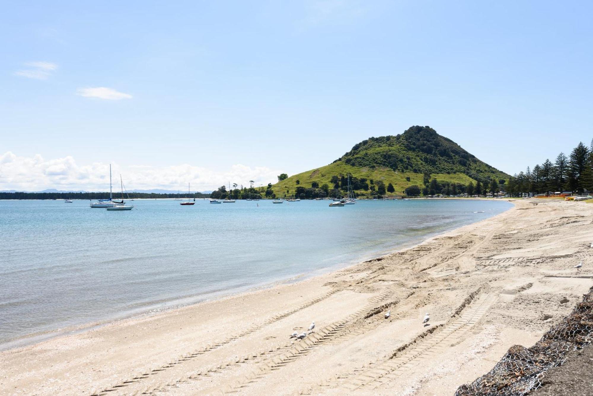 Sunny And Spacious - Moments From The Beach And Downtown ماوْنت مونغانيو المظهر الخارجي الصورة