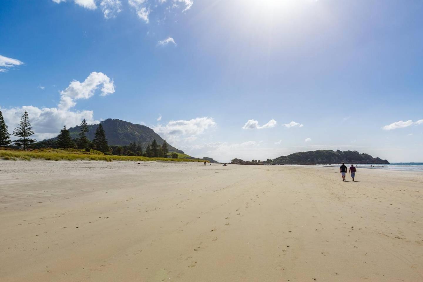Sunny And Spacious - Moments From The Beach And Downtown ماوْنت مونغانيو المظهر الخارجي الصورة
